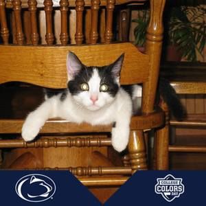 Meet your Posher, Joanne